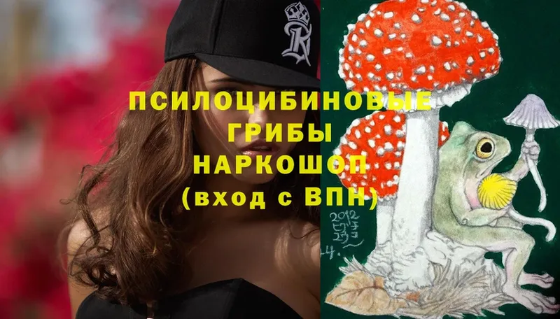 MEGA ссылка  магазин продажи   Вятские Поляны  Галлюциногенные грибы MAGIC MUSHROOMS 